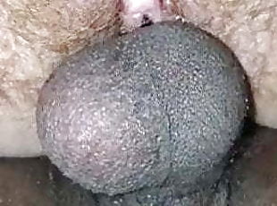 köpekçik, şişman, amcık-pussy, olgun, irklararası, vajinadan-sızan-sperm, dolgun-güzel-kadın, iri-göğüslü, aamerikalı, sıkı