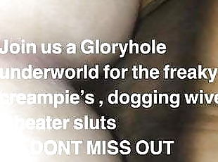 Hundestilling, Creampie, Tøs, Gloryhole, Kælling