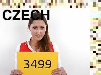 öffentliche, dilettant, selbst-gefertigt, gießerei, gesichtspunkt, czech, wirklichkeit