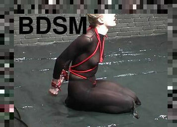 bdsm, blonde, bondage