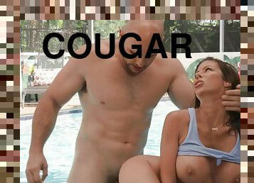 cognage, piscine, massive, cougar