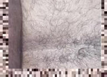 Hairy Latino ass breeded  by BBC