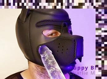 Teaser - Puppy BLOWJOB