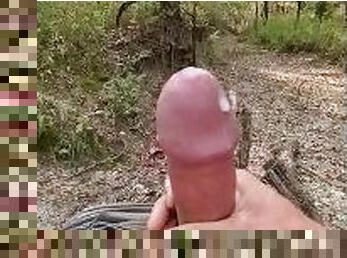 masturbation, utomhus, amatör, mogen, cumshot, gigantisk-kuk, pov, ensam, skog, kuk