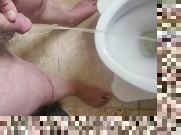 Pissing in the toilet