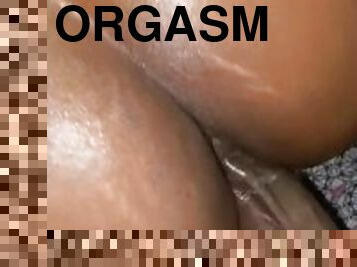 Creamy gf organisms on BBC