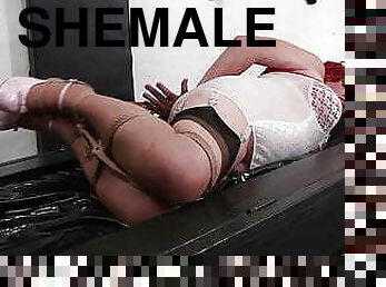 shemale, blowjob, transeksuell, bdsm, bondage, elskerinne, dominans