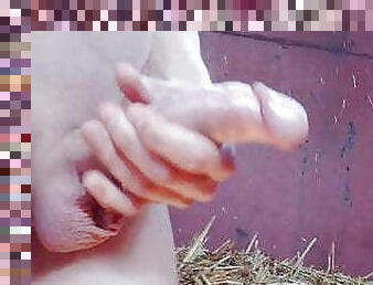 masturbation, en-plein-air, public, amateur, ejaculation-sur-le-corps, gay, jeune-18, minet