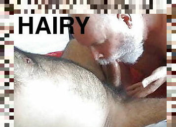 papa, poilue, fellation, ejaculation-sur-le-corps, énorme-bite, interracial, gay, couple, ejaculation, horny