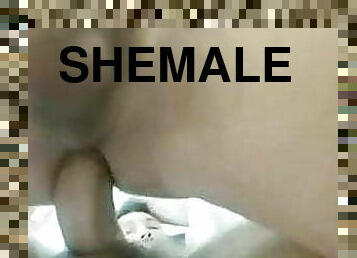 shemale, amatør, anal, par, brasil, ladyboy, riding