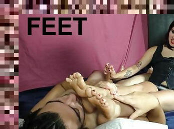 sniff my feet