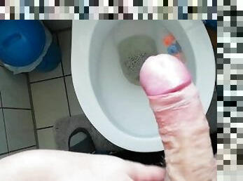 Quick masturbation in the toilet ends with cum after a hard day