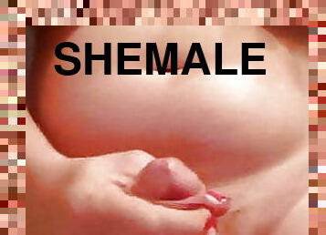Shemale 334