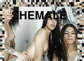 mastubasi, waria-shemale, amatir, anal, blowjob-seks-dengan-mengisap-penis, orang-yang-bertukar-kelamin, gangbang-hubungan-seks-satu-orang-dengan-beberapa-lawan-jenis, pasangan, bertiga