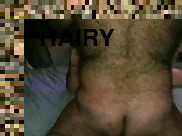 Hairy Bears 