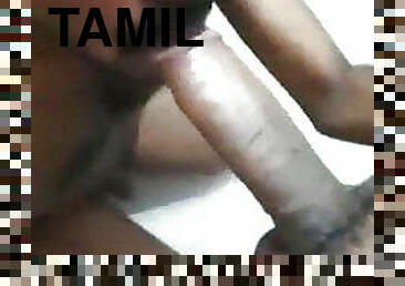 Tamil blowjob