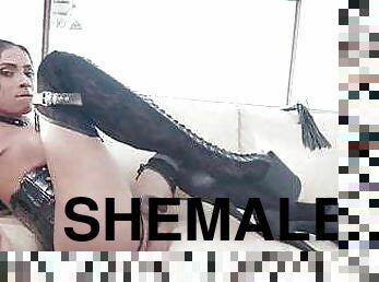 Latina shemale solo