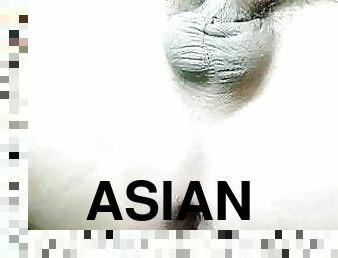 asiatisk, anal, homofil, thai