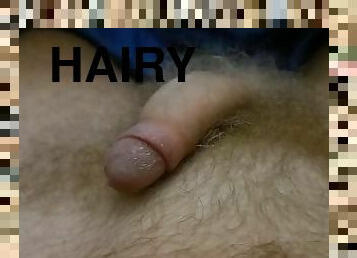 Hairy one gets hard leading to a No Hands Cum