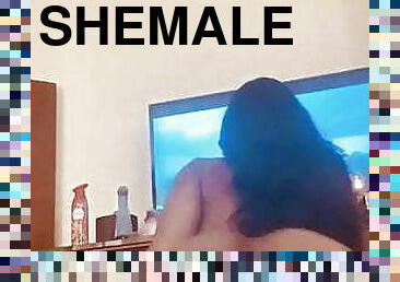 Shemale Hardcore Sex 104