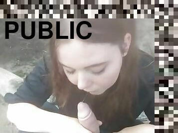 Sucking strangers cock in the park