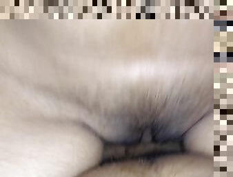 amateur, adolescente, latino, vagina