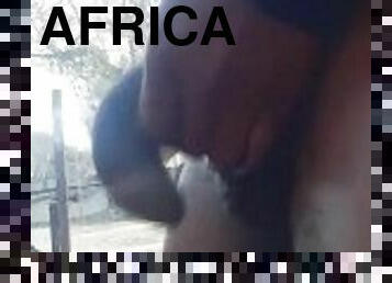 African Cock Public Jerk