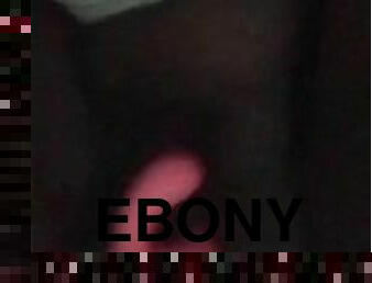 Ebony BBW plays with fat little pussy