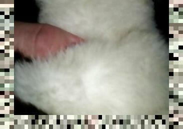 close up Siamese cat SPH plushie fuck with cum