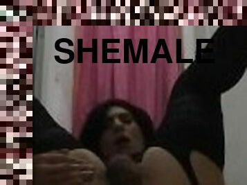 shemale, anal, undertøy, søt, dildo