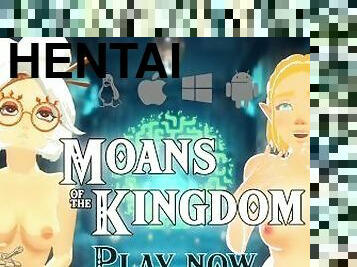 Zelda : Moans of the kingdom RELEASE trailer