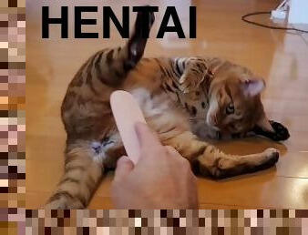 orgasme, chatte-pussy, giclée, jouet, japonais, hentai, incroyable