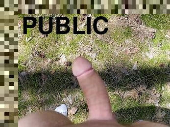 masturbation, public, ejaculation-sur-le-corps, énorme-bite, gay, branlette, secousses, solo, forêt, bite