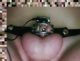 Estim Chastity with Anal Plug