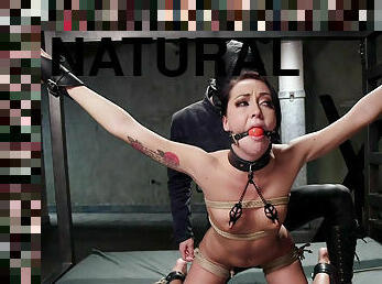 gros-nichons, anal, bdsm, esclave, naturel, serrée, par-voie-orale, seins, bondage, rasé