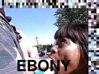 Ebony Bikini Beauty Ana Fox Poolside Interracial Sex