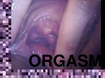 orgasms, amatieris, kamera, voyeur, webkamera, maksts