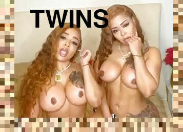D d twins