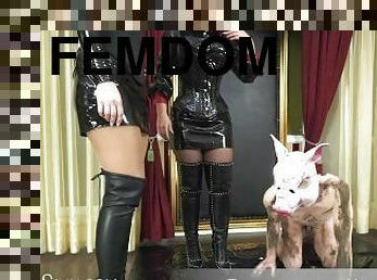 mijando, amador, estrela-porno, fetiche, latex, humiliação, domínio, morena, botas, domínio-feminino