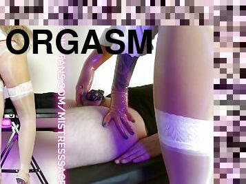 syahwat, pantyhose, menelan, hamba, stokings, merangkap, cuckold, perempuan-simpanan, putih, femdom