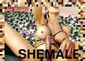 masturbation, shemale, webbkamera, ensam