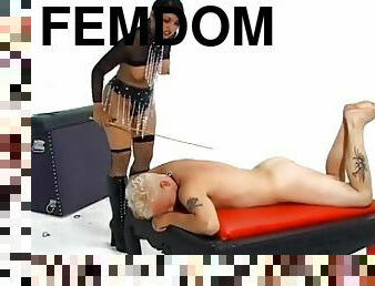 Pet Play Femdom