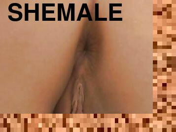 shemale, transeksuell, par