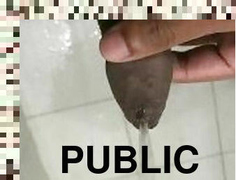 Publicpiss