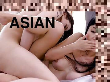 asiático, peluda, coño-pussy, transexual, babes, mamada, lesbiana, juguete, transexual-tranny, besando