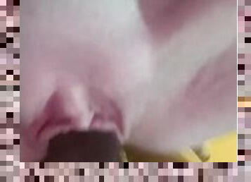 Close up pussy riding big black cock