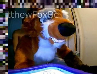 Matthew Fox gets stuck in the washing machine and fucked by a twink ( Fursuit / Furry / Mursuit )