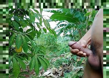 INDONESIAN DICK - Feeling Horny While Walking in the Cassava Garden to Masturbate and Cum a lot