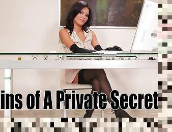 Sins of a private secretary Vanessa Decker