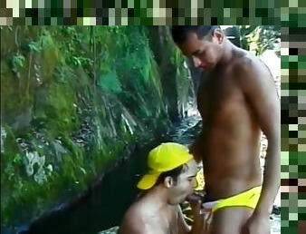 blowjob-seks-dengan-mengisap-penis, hutan-jungle